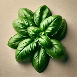 shopify-basilico Basilico Fresco